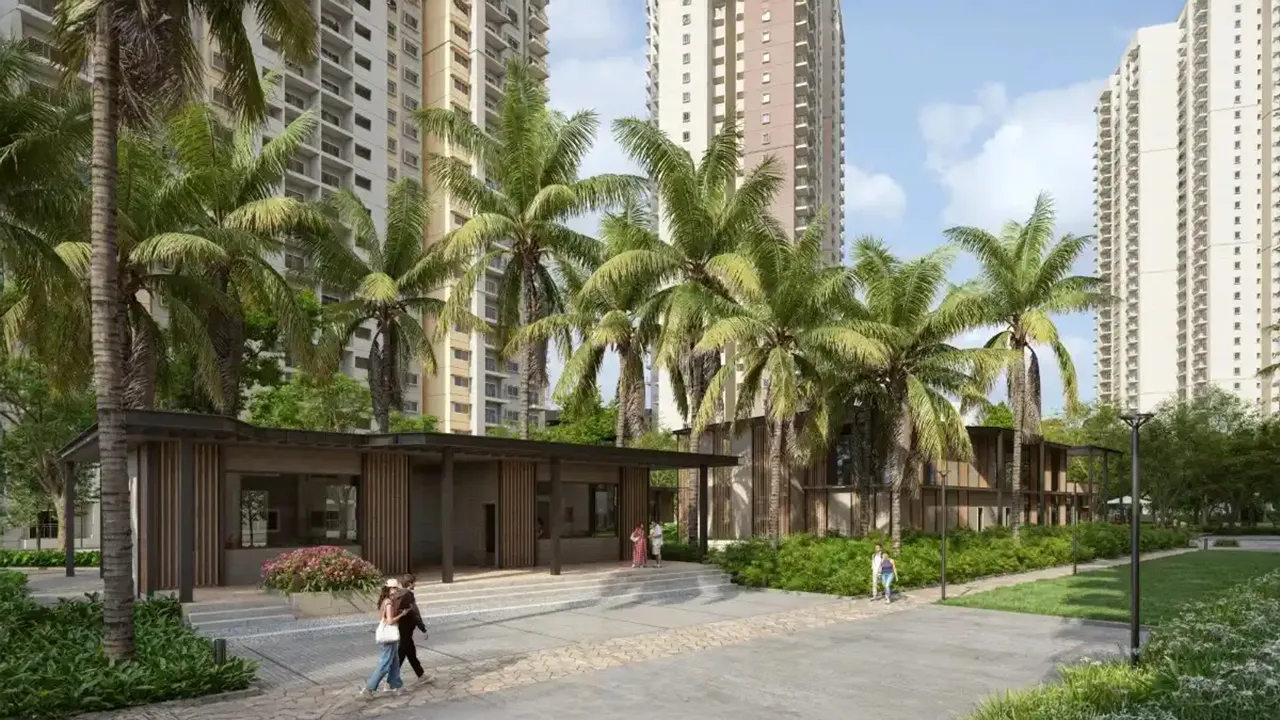 Alembic Cloud Forest 3