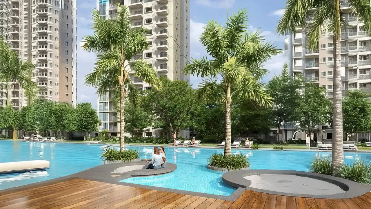 Alembic Cloud Forest 5